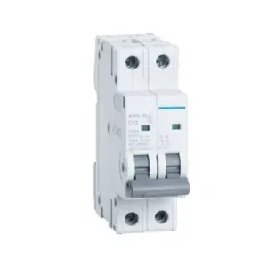 2-Pole Breaker 40A